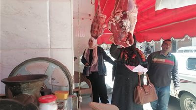 تحرير 340 محضرا ومخالفة تموينية خلال حملات على الأسواق بالقليوبية 