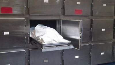 مصرع عامل صعقًا بالكهرباء داخل مزرعة دواجن في جزيرة شندويل بسوهاج