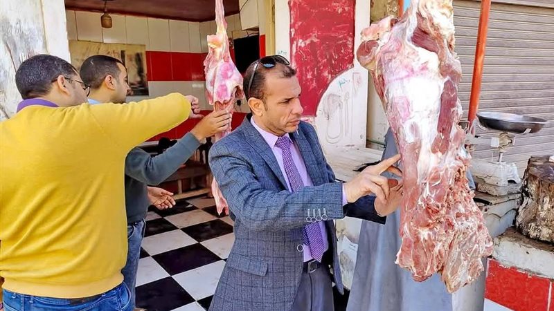 جانب من الحملات