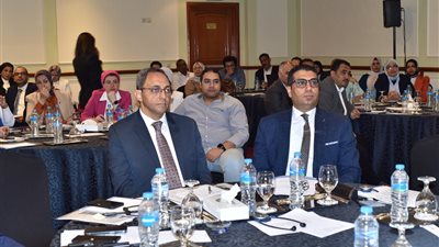 محافظ قنا يشارك في ورشة عمل حول تحضير المشروعات وتمويل المناخ للمدن المصرية
