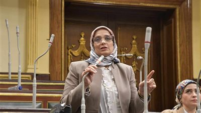 نجلاء العسيلي: مصر لن تسمح بالمزايدة على دورها في دعم غزة.. وتنظيم دخول القوافل ضرورة لحماية الأمن القومي