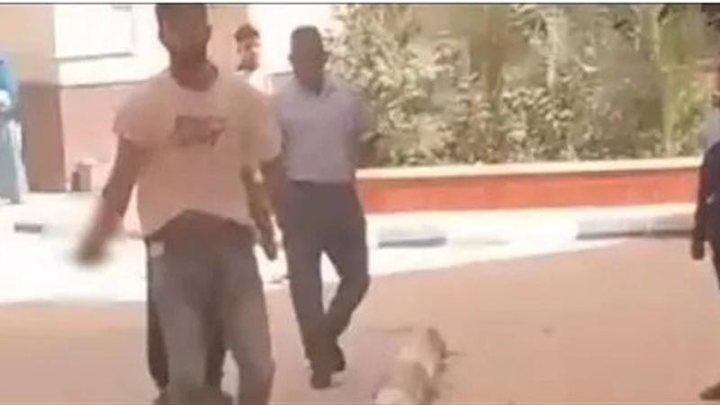 مشاجرة بين طالبين