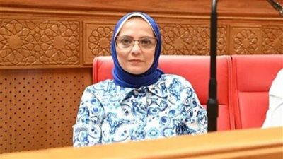 نجلاء العسيلي: زيارة رئيس وزراء الصين للقاهرة ترسي دعائم شراكة استراتيجية أوسع بين القاهرة وبكين