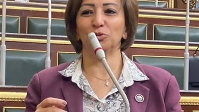 النائبة مها عبد الناصر تطالب بالكشف عن أسباب وفاة 4 أطفال أشقاء في المنيا