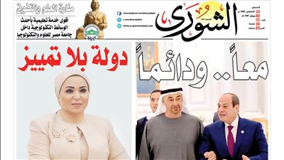 « انتصر الشعب وعاد توحيد الصف» .. كيف قاد المصريون بالخارج ملحمة الدفاع عن السفارات؟