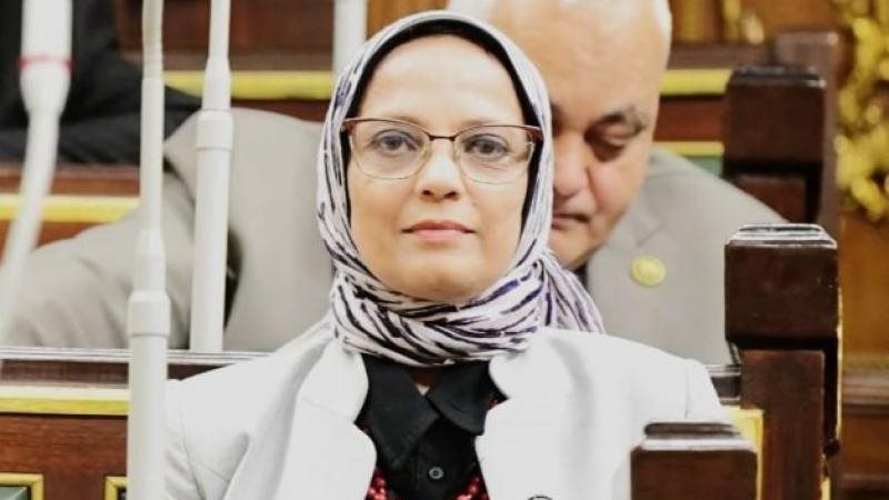 النائبة نجلاء العسيلي