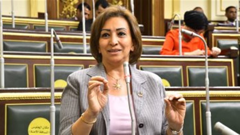 النائبة مها عبدالناصر