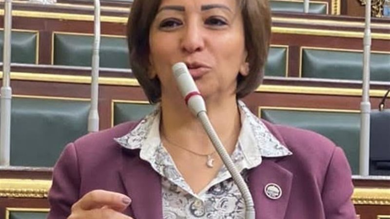 النائبة مها عبدالناصر