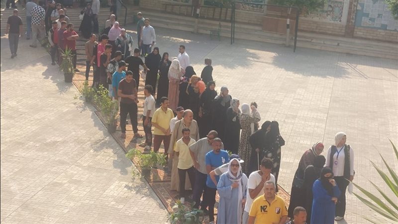 انتخابات مجلس الشيوخ
