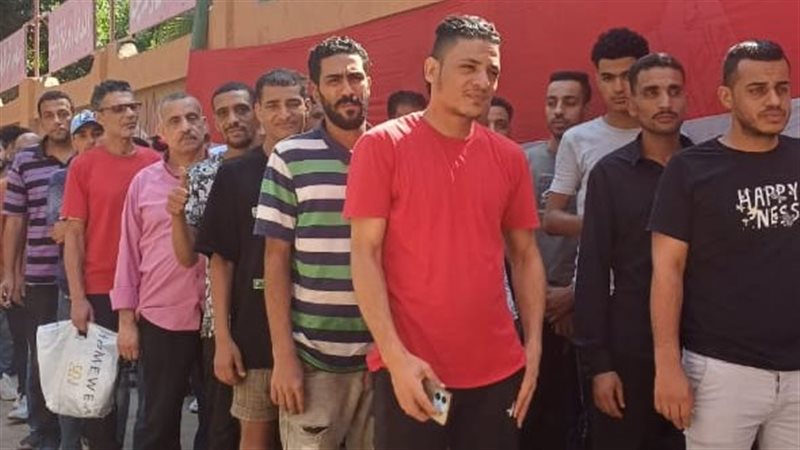 انتخابات مجلس الشيوخ