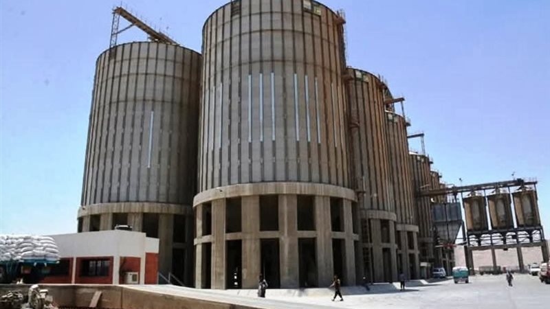 موسم توريد القمح