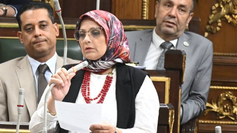 النائبة نجلاء العسيلي