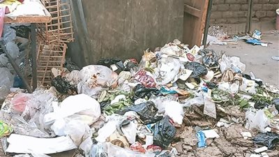 انتشار القمامة يهدد بكارثة بيئية فى شوارع المراغة بسوهاج.. والمسئولين بمجلس المدينة تفرغوا لمصالح المباني المخالفة 