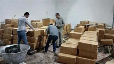 ضبط 13 طن أسماك فاسدة وعلف وسماد مدعّم في حملات تموينية مكثفة بالإسكندرية