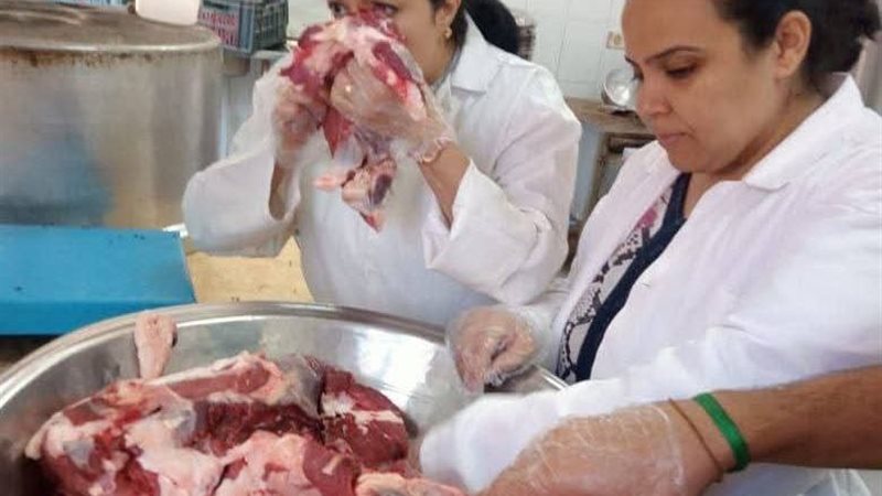 توزيع لحوم بسوهاج