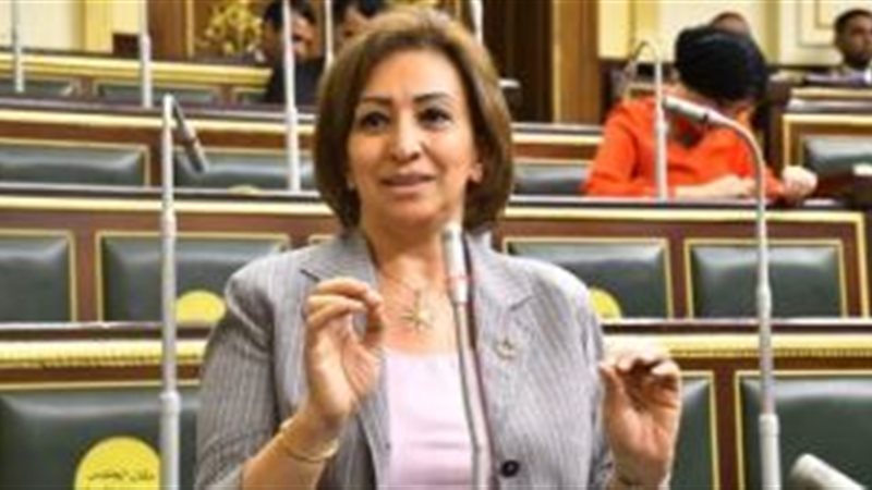 النائبة مها عبد الناصر