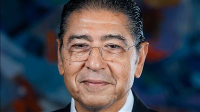 عز العرب: القاعدة الرأسمالية للبنوك الدرع الواقي للاقتصاد