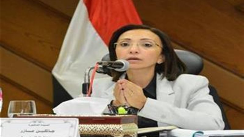 محافظ البحيرة 