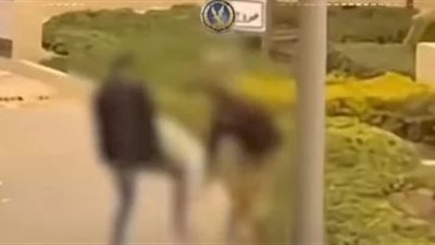 غدا.. الحكم في استئناف رجل الأعمال المتهم بالاعتداء على فرد أمن بالتجمع الخامس