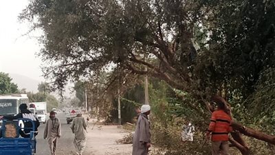  سوهاج تواجه التقلبات المناخية.. فرق الطوارئ بالمحافظة تنجح في التعامل مع سقوط أعمدة كهرباء وأشجار ولوحات إعلانية 