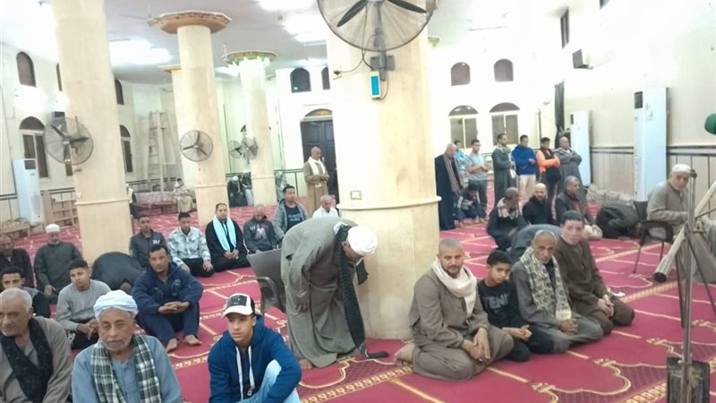 جانب من الفاعليات