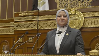 النائبة الدكتورة مروة قنصوة: تطوير التعليم وربطه بسوق العمل والاستثمار في مهارات المستقبل يمثل ركيزة لبناء اقتصاد تنافسي