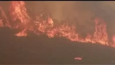 حرائق الجزائر.. إخماد 110 حرائق واستمرار 64 حريقا فى عدة ولايات