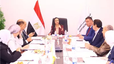 الهلال الأحمر المصري: أكثر من مليون طن مساعدات تم تسليمها إلى غزة منذ أكتوبر