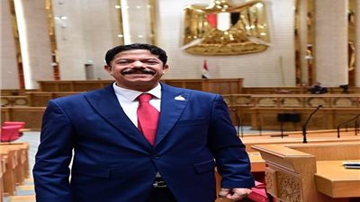 الحديوي: زيارة الرئيس الصيني محطة تاريخية لتعميق الشراكة الاستراتيجية