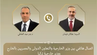 وزير الخارجية ونظيره التركي يشددان على تكثيف الجهود لاحتواء التصعيد في المنطقة