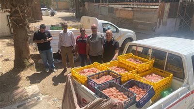 التحفظ على 700 كجم من صدور وهياكل الدجاج غير صالحة للاستهلاك في حملة نفذتها لجنة المرور على المجازر والشوادر ببني سويف 