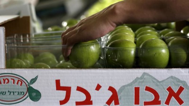 الشورى