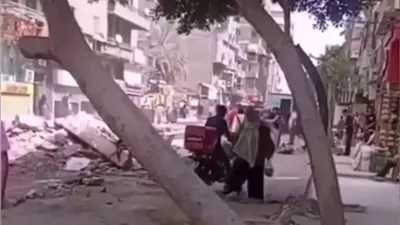 وقعت لوحدها.. محافظة القاهرة تنفي قطع شجرة في عين شمس
