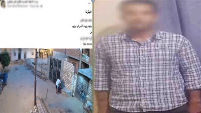 نشر صورها على مواقع التواصل.. القبض على المتهم بالتشهير بفتاة بالبحيرة