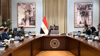 رئيس الوزراء يستعرض ملامح استراتيجة الاستثمار الأجنبي المباشر في مصر (2027 – 2030)