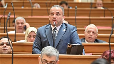النائب هاني شحاتة: الشراكة الاستراتيجية مع كوريا تعزز فرص التعاون في البنية التحتية والمدن الذكية وتوطين التكنولوجيا