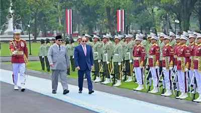 بيان مصري - إندونيسي: الرئيسان أكدا دعمهما الثابت لإقامة دولة فلسطين المستقلة ذات السيادة
