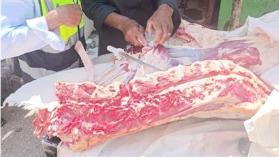 حملات لسلامة الغذاء بالمحافظات تشمل 229 مركزًا وحيًا من خلال 31 فرعًا