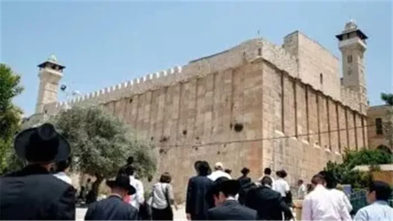 ارشيفيىة