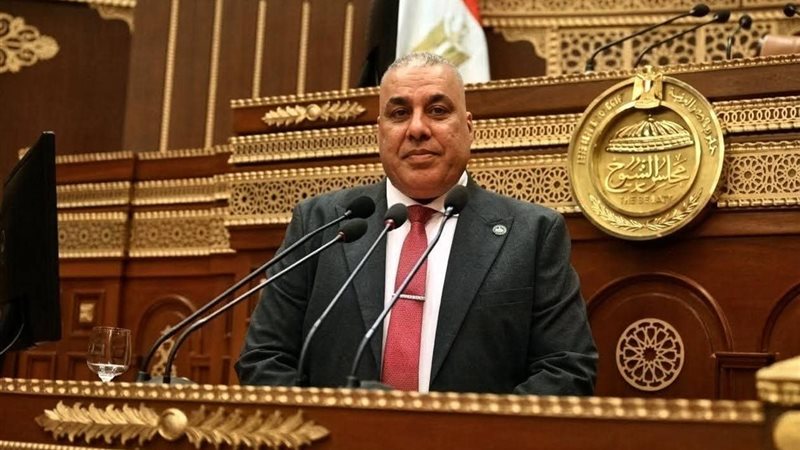 النائب محمد أبو النصر