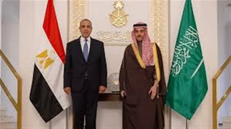 وزيري الخارجية المصري والسعودي
