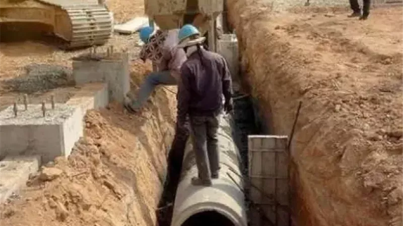 ارشيفيىة