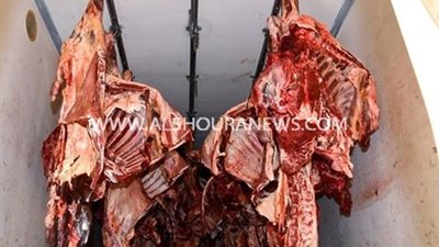 محافظ سوهاج 