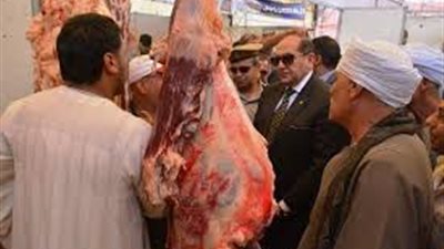 القضاء على فساد اللحمة ومنع الأختام المزورة مبدئيا