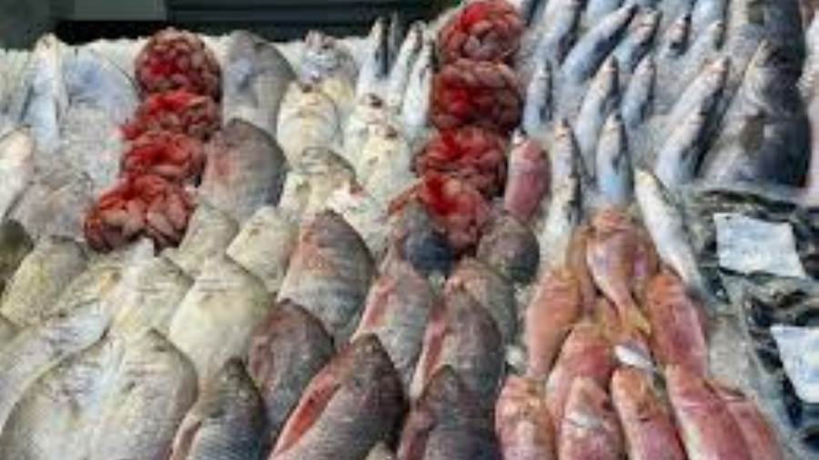 منسق مبادرة المقاطعة: الحملة تشمل الأسماك واللحوم والدواجن بسبب جشع التجار 